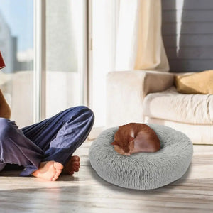 Pawz Haven Heated Pet Bed for Cats and Small dogs