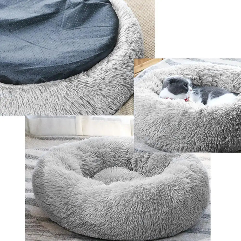 Pawz Haven Heated Pet Bed for Cats and Small dogs