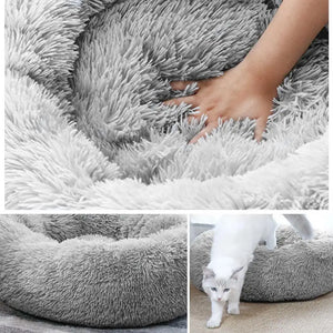 Pawz Haven Heated Pet Bed for Cats and Small dogs